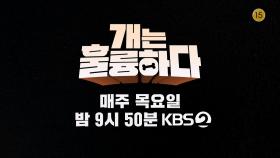 [개는 훌륭하다] 매주 목요일 밤 9시 50분 !!! | KBS 방송