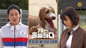 [예고] 개는 훌륭하다 3회 예고 | KBS 방송