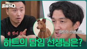 파라오 하운드 하트의 담임 선생님은? | KBS 251016 방송