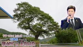 별✨ #진해성 과 함께하는 청양군 대치면 대치리 느티나무 / KBS 대전방송