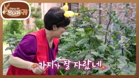 사랑 가득 아내 표 요리✨ 텃밭에서 키운 채소로 차린 밥상😋 | KBS 251019 방송