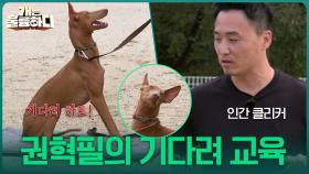 흥분도 잡는데 최고! 권혁필 표 기다려 교육 | KBS 251016 방송