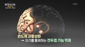 단 6일의 라이프 업 프로젝트, 그 결과는? | KBS 251022 방송