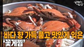 바다 향 가득 품고 맛있게 익은 ‘꽃게찜’ | KBS 251016 방송