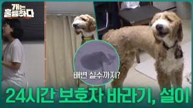 “ 분리불안 심한 축에 속해요 ” 설이의 심각한 분리불안?! | KBS 251023 방송