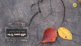 [예고] ＜어느 날, 나이테가 생겼다＞ | KBS 방송