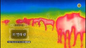 [예고] ＜오색의 린＞ | KBS 방송