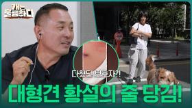 제어 불가! 25kg 대형견 황설의 줄 당김에 넘어졌던 보호자?! | KBS 251023 방송