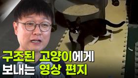 구조된 고양이에게 보내는 영상 편지 [리얼 카메라 진실의 눈] | KBS 251024 방송