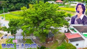 사랑해🧡 #신유 와 함께하는 천안시 목천읍 덕전리 느티나무 | KBS 대전 | KBS 방송