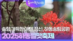 솔향 가득한 애민 정신, 하동송림공원과 2025하동별맛축제 | KBS 251025 방송