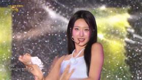 H1-KEY (하이키) - 건물 사이에 피어난 장미 | KBS 251026 방송