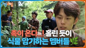 촉이 온다...! 홀린 듯이 식물 암기하는 멤버들🌿 | KBS 251026 방송