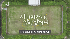 [예고] 사라지거나, 살아남거나 | KBS 방송