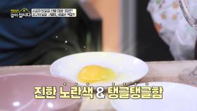 닭 농장 주인이 알려주는 신선란 고르기 ★꿀팁 대방출★ | KBS 251027 방송