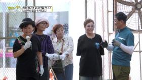 부여 최고의 ‘닭 장인’을 만나다! 사공주의 달걀 수거 도전기! | KBS 251027 방송