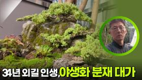 34년 외길 인생, 야생화 분재 대가 “ 자연을 축소해놓은 듯한 풍경! ” | KBS 251027 방송