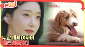 놓친 예능 따라잡기(누난 내게 여자야 / 개는 훌륭하다) | KBS 251030 방송