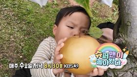 [596회 예고]우형제의 가을🍂 | KBS 방송