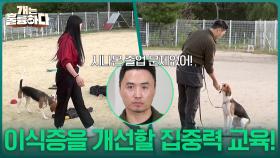 천방지축 시나몬의 담임 선생님, 비밀병기 권혁필의 교육! | KBS 251030 방송