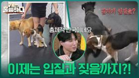 계속 쏟아져나오는 고민 행동! 이제는 입질과 짖음까지? | KBS 251030 방송