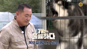 [예고] 개는 훌륭하다 5회 예고 | KBS 방송