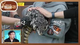 국내 최대 사이즈의 테구?! 3대가 키울 수 있는 거북이✨ | KBS 251102 방송