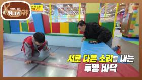 바닥 상태도 꼼꼼하게 찾아내는 손자!! 파충류계 1인자가 된 아웃사이더😲 | KBS 251102 방송