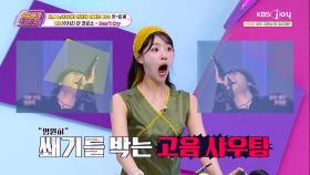 대한민국 남자들 고음병 유발송 세월이 지나도~ 여전한 레전드 명곡! ‘더 크로스-Don′t Cry’ | KBS Joy 251031 방송