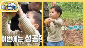[김준호네] 호우 부자의 가을 제철 과일 배따기 체험♥ 배 따다 굳어버린 정우?! | KBS 251105 방송