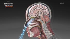 코로나 팬데믹과 고령화, 늘어나는 후각장애 | KBS 251105 방송