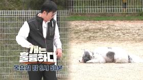 [예고] 개는 훌륭하다 6회 예고 | KBS 방송