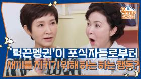 남극의 ‘턱끈펭귄’이 포식자들로부터 새끼를 지키기 위해 하는 행동은 무엇일까요? | KBS 251106 방송