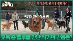 원수(?)는 사관학교에서 만난다! 교육 중 블루를 만난 럭키의 반응은? | KBS 251106 방송