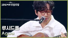 루시드폴 - Água | KBS 251107 방송