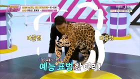 바!람처럼~ 왔다가 이슬처럼 갈 순 없잖아ㅠㅅㅠ..쓰디 쓴 표범의 포효 ′조용필-킬로만자로의 표범′| KBS Joy 251107 방송