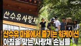 산수유 마을에서 즐기는 워케이션, 아침을 맞는 사랑채 손님들 | KBS 251108 방송