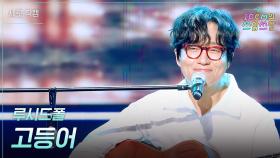 [세로] 루시드폴 - 고등어 | KBS 251107 방송