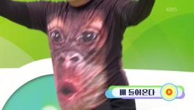 포천의 깜찍이 고릴라! 오재명 씨의 배 들어온다 | KBS 251109 방송