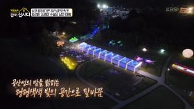 빛줄기들이 만드는 신비로운 분위기! 신비로운 세계에 매료된 사공주☺ | KBS 251110 방송