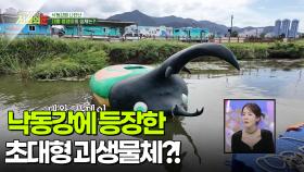 낙동강에 등장한 초대형 괴생물체?! [리얼 카메라 진실의 눈] | KBS 251107 방송