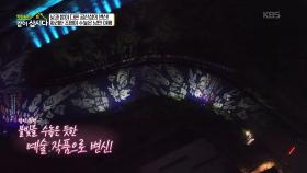 낮과 밤이 다른 공간성의 변신! 화려한 조묭이 수놓은 낭만 야행 | KBS 251110 방송