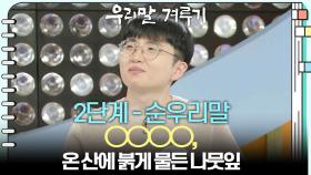 [2단계 - 순우리말] ○○○○, 온 산에 붉게 물든 나뭇잎 | KBS 251110 방송