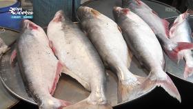 다카에서 가장 큰 도매시장 카우란 바자 | KBS 251111 방송