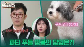 파티 푸들 땅콩의 담임은?! ＂Dog심술사 맛 좀 볼래?!＂ | KBS 251113 방송
