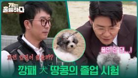 깡패 犬 땅콩의 졸업 시험 ＂땅콩이 화이팅!＂ | KBS 251113 방송