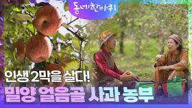 인생 2막을 살다! 밀양 얼음골 사과 농부 | KBS 251115 방송