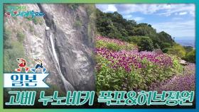 바쁜 도심 속 여유를 느낄 수 있는 ‘고베 누노비키 허브정원’ | KBS 251115 방송