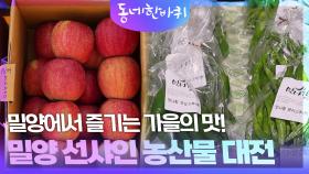 ‘밀양 선샤인 농산물 대전’ 밀양에서 즐기는 가을의 맛! | KBS 251115 방송