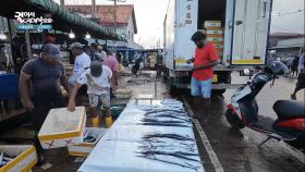 5시간동안만 열리는 스리랑카 네곰보의 최대 어시장 | KBS 251118 방송